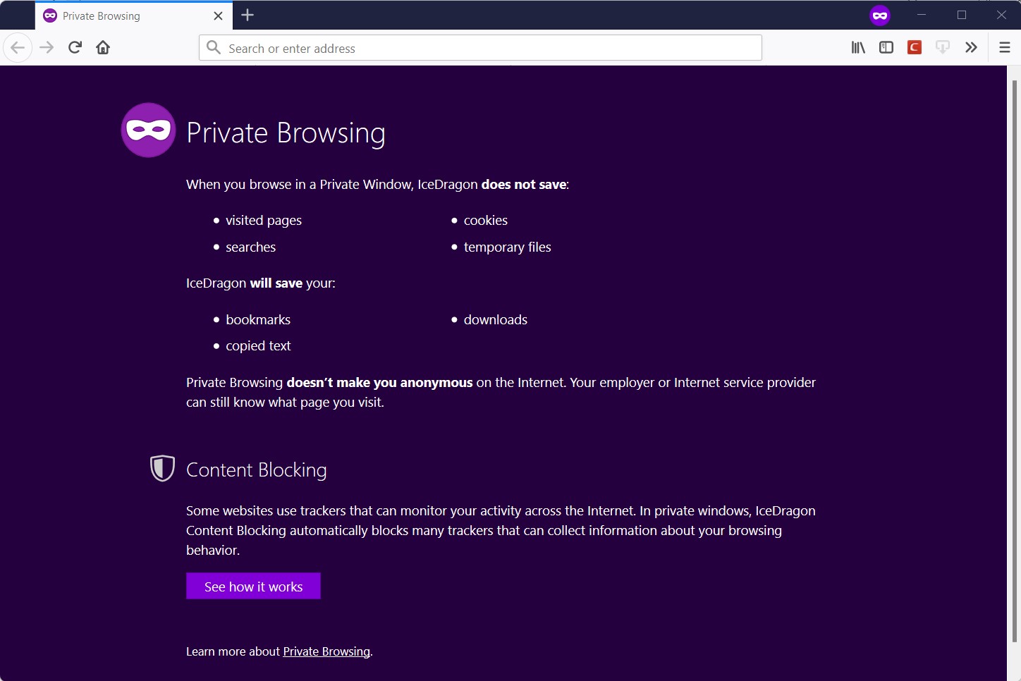 screenshot icedragon browser private mode